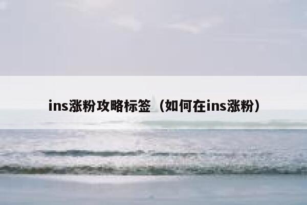 ins涨粉攻略标签(如何在ins涨粉) 第1张 ins涨粉攻略标签(如何在ins涨粉) 第1张