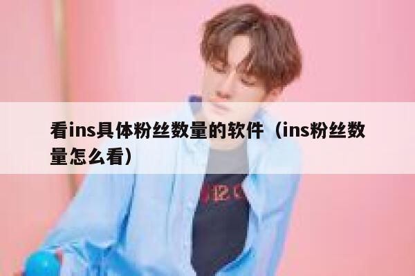 看ins具体粉丝数量的软件（ins粉丝数量怎么看） 第1张