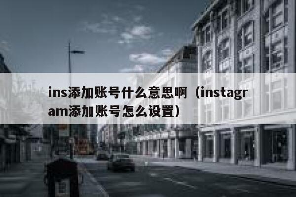 ins添加账号什么意思啊(instagram添加账号怎么设置) 第1张 ins添加账号什么意思啊(instagram添加账号怎么设置) 第1张