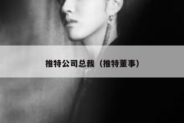 推特公司总裁(推特董事) 第1张 推特公司总裁(推特董事) 第1张