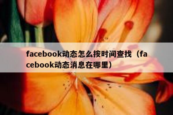 facebook动态怎么按时间查找（facebook动态消息在哪里） 第1张