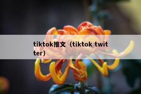 tiktok推文（tiktok twitter） 第1张