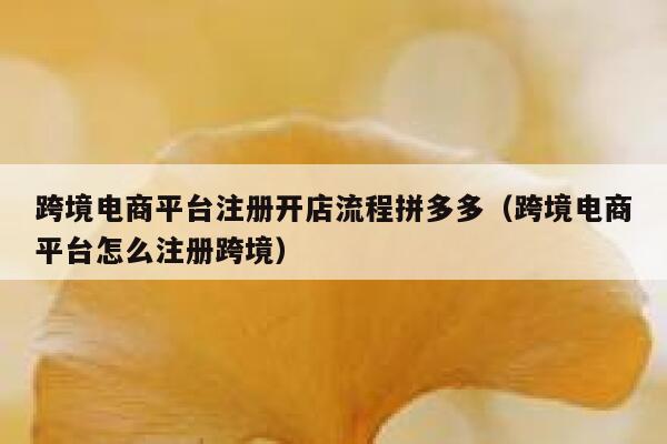 跨境电商平台注册开店流程拼多多(跨境电商平台怎么注册跨境) 第1张 跨境电商平台注册开店流程拼多多(跨境电商平台怎么注册跨境) 第1张