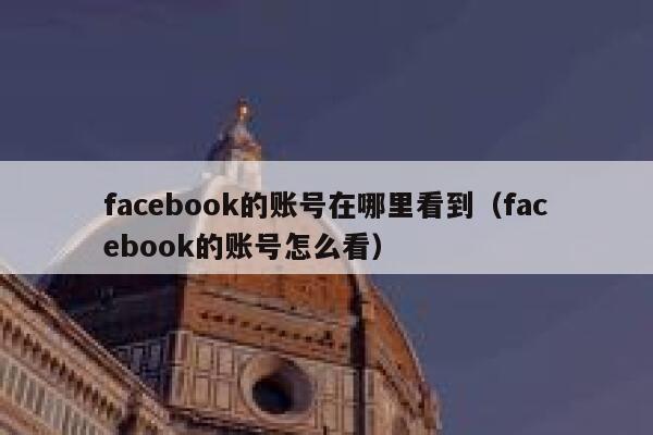 facebook的账号在哪里看到（facebook的账号怎么看） 第1张