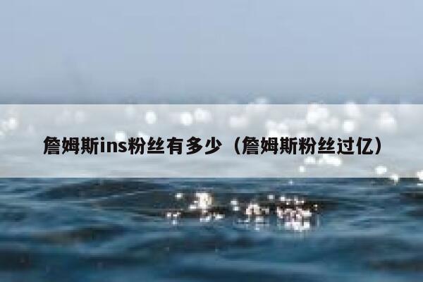 詹姆斯ins粉丝有多少（詹姆斯粉丝过亿） 第1张