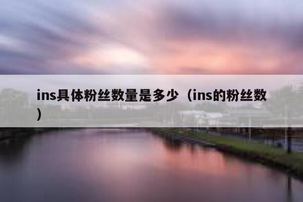 ins具体粉丝数量是多少(ins的粉丝数) 第1张 ins具体粉丝数量是多少(ins的粉丝数) 第1张