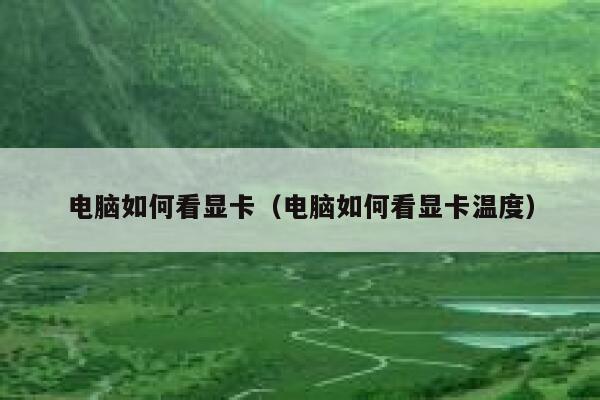 电脑如何看显卡(电脑如何看显卡温度) 第1张 电脑如何看显卡(电脑如何看显卡温度) 第1张