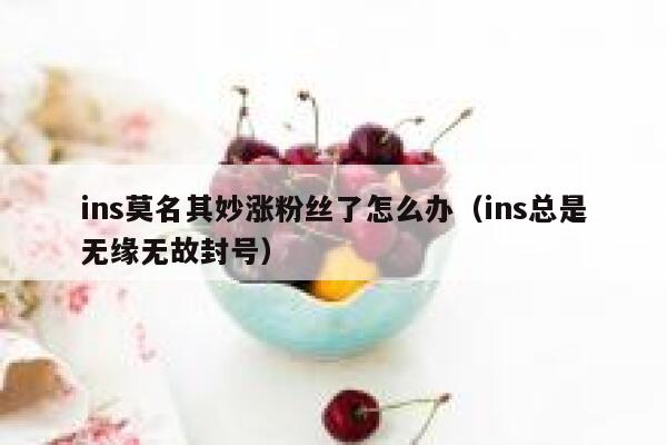 ins莫名其妙涨粉丝了怎么办(ins总是无缘无故封号) 第1张 ins莫名其妙涨粉丝了怎么办(ins总是无缘无故封号) 第1张