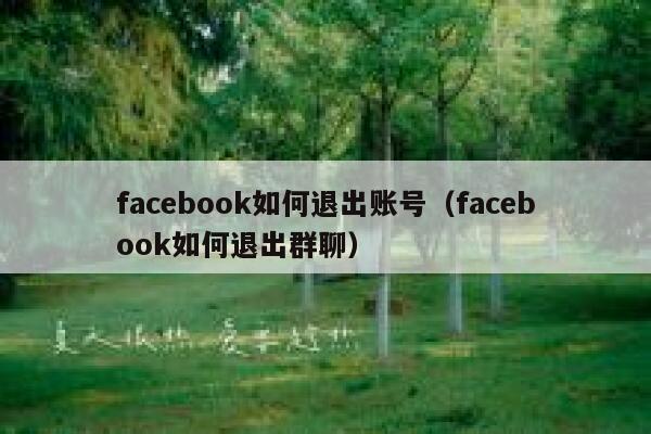 facebook如何退出账号(facebook如何退出群聊) 第1张 facebook如何退出账号(facebook如何退出群聊) 第1张
