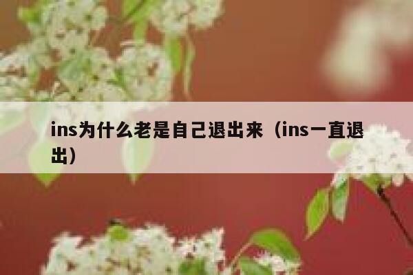 ins为什么老是自己退出来(ins一直退出) 第1张 ins为什么老是自己退出来(ins一直退出) 第1张