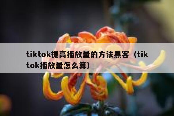 tiktok提高播放量的方法黑客（tiktok播放量怎么算） 第1张