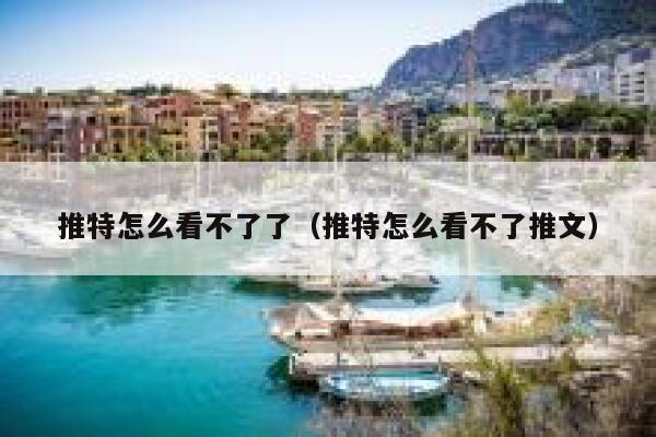 推特怎么看不了了(推特怎么看不了推文) 第1张 推特怎么看不了了(推特怎么看不了推文) 第1张