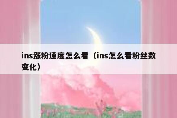 ins涨粉速度怎么看（ins怎么看粉丝数变化） 第1张