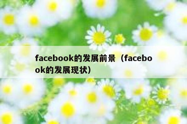 facebook的发展前景(facebook的发展现状) 第1张 facebook的发展前景(facebook的发展现状) 第1张
