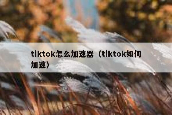 tiktok怎么加速器（tiktok如何加速） 第1张
