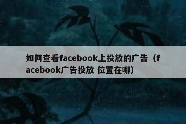 如何查看facebook上投放的广告(facebook广告投放 位置在哪) 第1张 如何查看facebook上投放的广告(facebook广告投放 位置在哪) 第1张