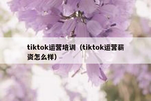 tiktok运营培训（tiktok运营薪资怎么样） 第1张