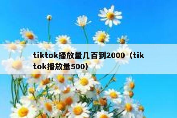 tiktok播放量几百到2000（tiktok播放量500） 第1张