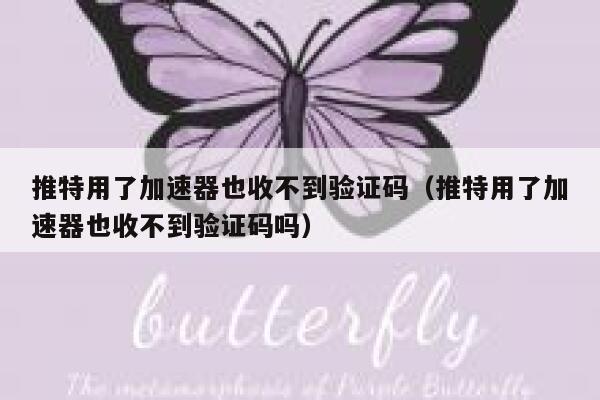推特用了加速器也收不到验证码（推特用了加速器也收不到验证码吗） 第1张