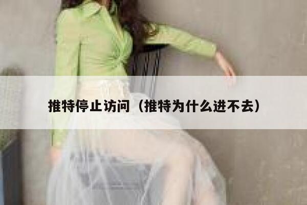 推特停止访问（推特为什么进不去） 第1张