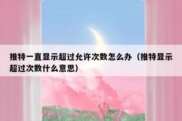 推特一直显示超过允许次数怎么办（推特显示超过次数什么意思） 第1张