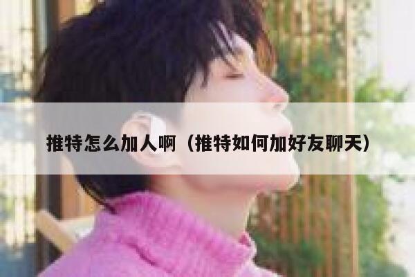 推特怎么加人啊（推特如何加好友聊天） 第1张