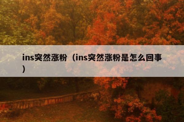 ins突然涨粉（ins突然涨粉是怎么回事） 第1张