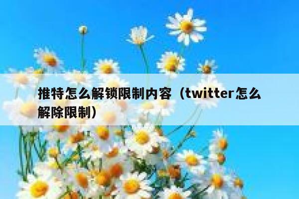 推特怎么解锁限制内容（twitter怎么解除限制） 第1张