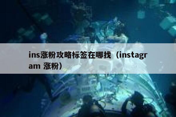 ins涨粉攻略标签在哪找（instagram 涨粉） 第1张