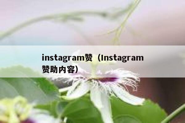 instagram赞（Instagram赞助内容） 第1张