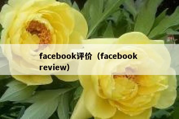 facebook评价（facebook review） 第1张