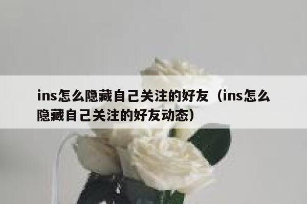 ins怎么隐藏自己关注的好友（ins怎么隐藏自己关注的好友动态） 第1张
