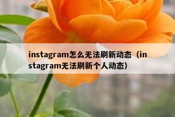 instagram怎么无法刷新动态(instagram无法刷新个人动态) 第1张 instagram怎么无法刷新动态(instagram无法刷新个人动态) 第1张