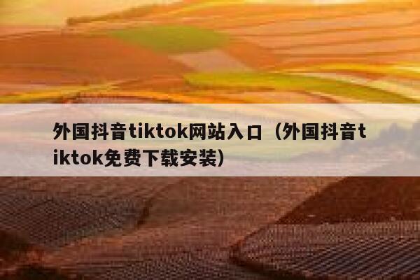 外国抖音tiktok网站入口（外国抖音tiktok免费下载安装） 第1张