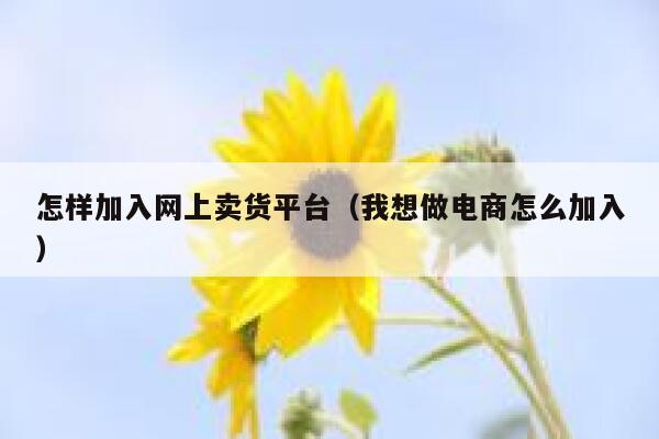 怎样加入网上卖货平台(我想做电商怎么加入) 第1张 怎样加入网上卖货平台(我想做电商怎么加入) 第1张