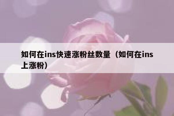 如何在ins快速涨粉丝数量（如何在ins上涨粉） 第1张