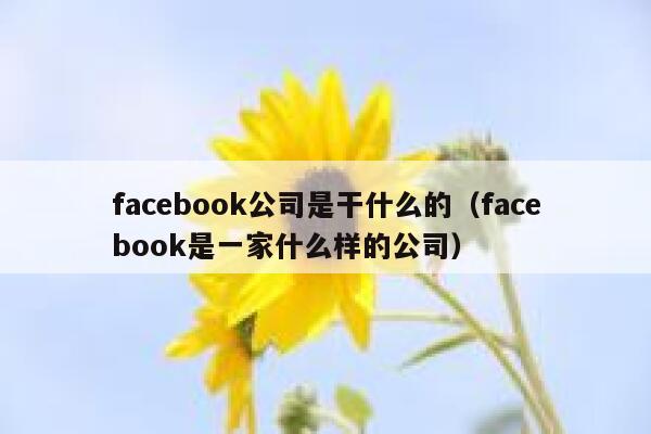 facebook公司是干什么的（facebook是一家什么样的公司） 第1张
