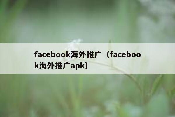 facebook海外推广（facebook海外推广apk） 第1张