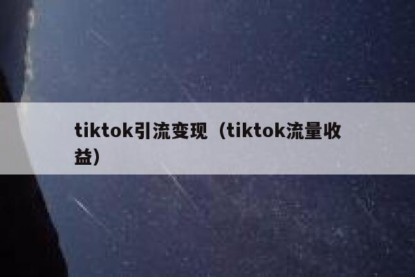 tiktok引流变现（tiktok流量收益） 第1张