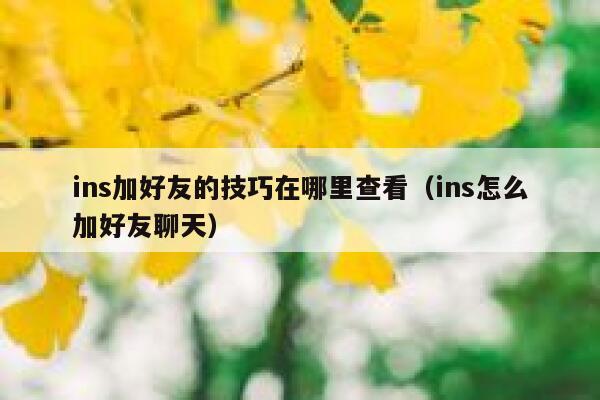 ins加好友的技巧在哪里查看（ins怎么加好友聊天） 第1张