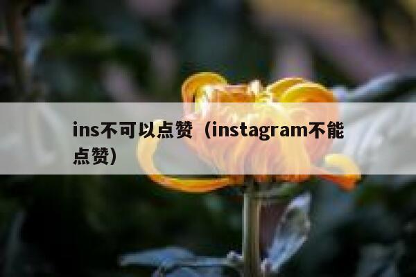 ins不可以点赞（instagram不能点赞） 第1张