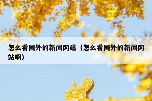 怎么看国外的新闻网站（怎么看国外的新闻网站啊） 第1张
