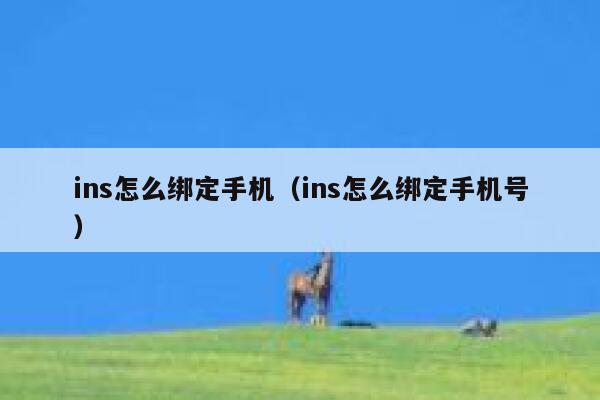 ins怎么绑定手机（ins怎么绑定手机号） 第1张