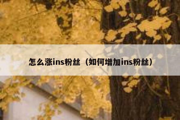 怎么涨ins粉丝(如何增加ins粉丝) 第1张 怎么涨ins粉丝(如何增加ins粉丝) 第1张
