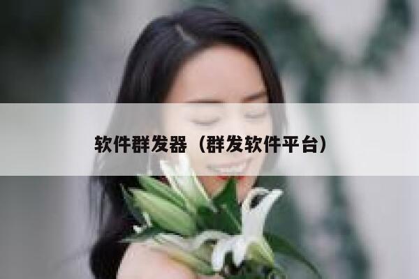 软件群发器（群发软件平台） 第1张
