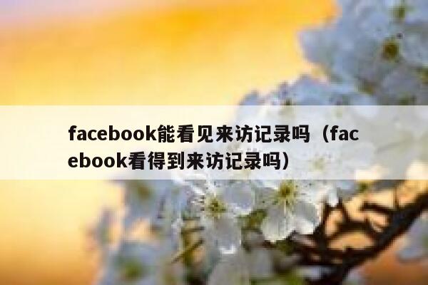 facebook能看见来访记录吗（facebook看得到来访记录吗） 第1张