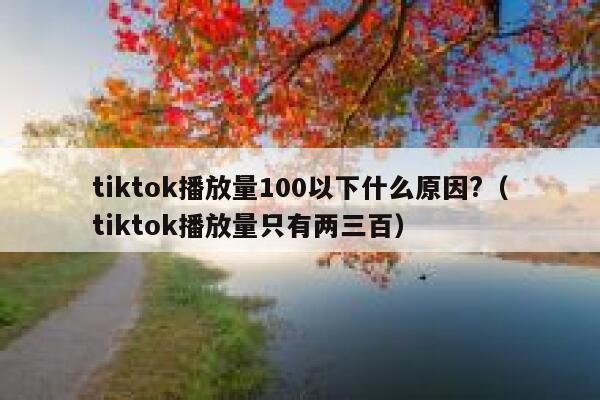 tiktok播放量100以下什么原因?（tiktok播放量只有两三百） 第1张