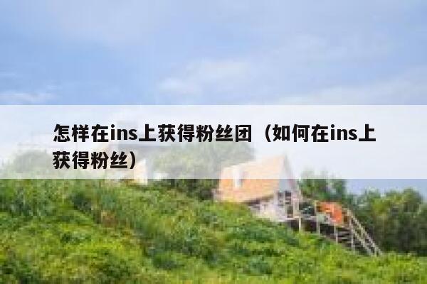 怎样在ins上获得粉丝团(如何在ins上获得粉丝) 第1张 怎样在ins上获得粉丝团(如何在ins上获得粉丝) 第1张