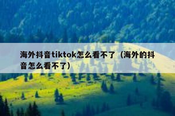 海外抖音tiktok怎么看不了（海外的抖音怎么看不了） 第1张
