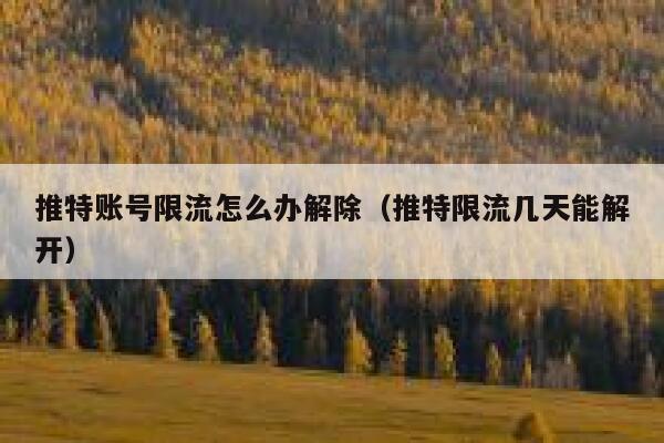 推特账号限流怎么办解除(推特限流几天能解开) 第1张 推特账号限流怎么办解除(推特限流几天能解开) 第1张